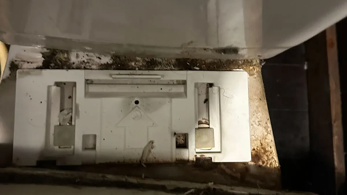 店舗のトイレ清掃
