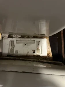 店舗のトイレ清掃
