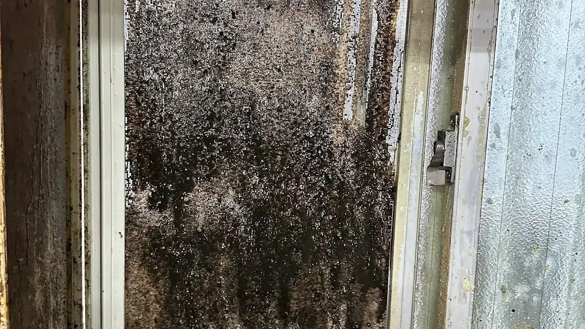 厨房の窓清掃
